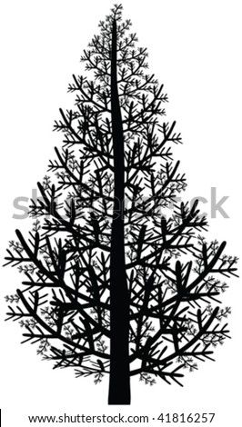 Pine Tree Silhouette - Vector - 41816257 : Shutterstock