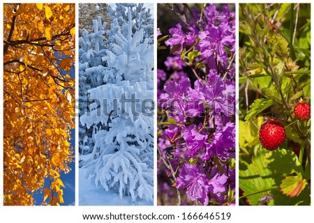 Collage. Colorful natural backgrounds. Four seasons