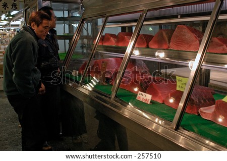 Worker in Tsukiji fish market, Tokyo, Japan. Checking fresh tuna.