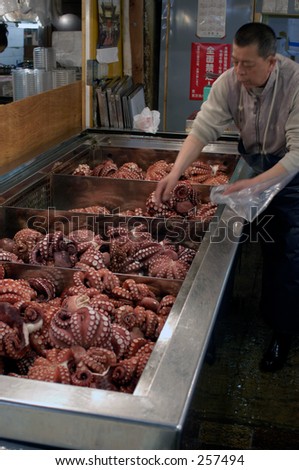 Worker in Tsukiji fish market, Tokyo, Japan. Picking out octopus.