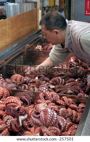 Worker in Tsukiji fish market, Tokyo, Japan. Picking out octopus.