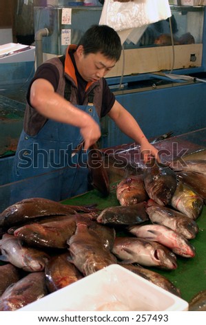 Worker in Tsukiji fish market, Tokyo, Japan