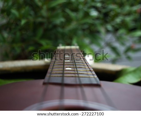 guitar and music in a garden