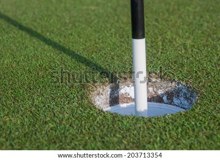 Black and White Pin in Golf Hole