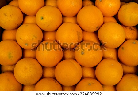A bin full of oranges in a Farmers\' Market in Groningen, The Netherlands