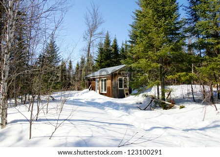 Old wood cabin in the snow on a sunny winter day, great seasonal nature landscape.