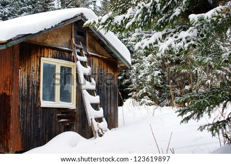 Old wood cabin with ladder covered by the thick snow on a cold winter day, great seasonal nature landscape.