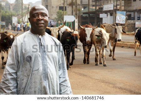 African Cattle Farmer Or Herdsman Leading His Herd Of Cows On A Busy City Street