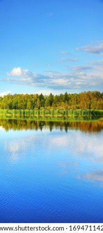 Vertical panorama (XXXL) of wetland with cattail and forest at the back, great nature background or border