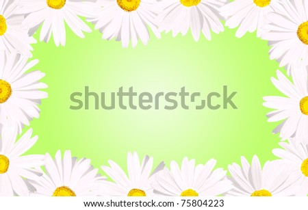 It's spring: White daisy flowers forming a frame border over a spring baby green background.