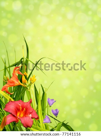 Beautiful natural arrangement of flowers, capicunes and lilies, isolated on white background to make perfet floral border, corner.