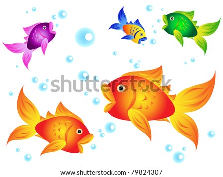 Colorful Sea Creatures