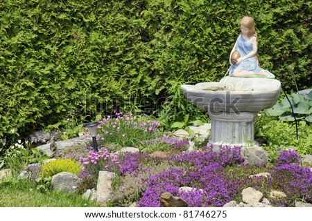 Beautiful landscaping/ front yard curb appeal: young woman statue pouring water into a fountain, surrounded by a variety of flowers with thyme in purple bloom and a wall of cedar trees.
