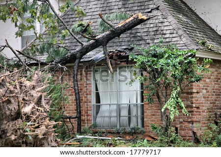 Editorial Use Only: Fallen Tree Crown Ruining Roof Shingles and Window of Brick House