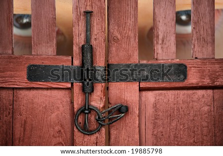 Large Head and Eyeballs Trapped Behind Locked Mauve colored Wooden Grain Gate