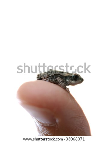 Toad+person