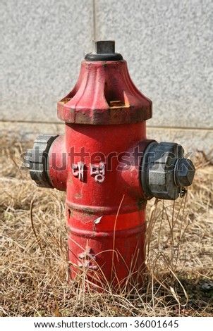 Red Korean Fire Hydrant in grass fighting water metal object