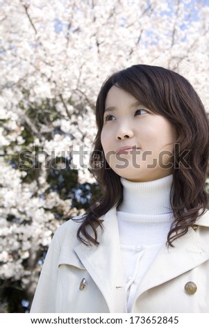 Japanese woman with cherry blossom tree