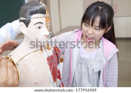Two elementary girls who play in the human body model