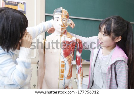 Two elementary Japanese girls who play in the human body model