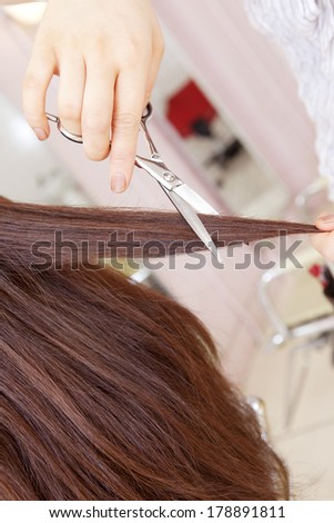 Hand of the hairdresser cutting the hair of woman
