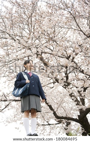 Uniformed Japanese schoolgirl standing under a cherry tree