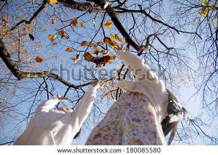 Two Japanese primary school students wait for Autumn leaves to fall