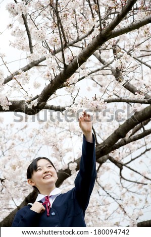 Middle japanese school girls touches the cherry tree petal in hand