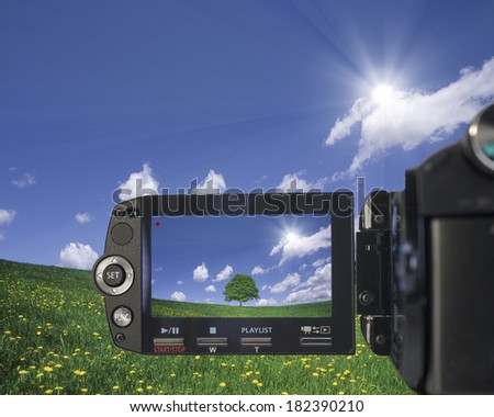 Close-up of a video camera filming a lone tree standing amidst dandelions in a grassy field under a bright Sun, Hokkaido, Japan. An image within an image.