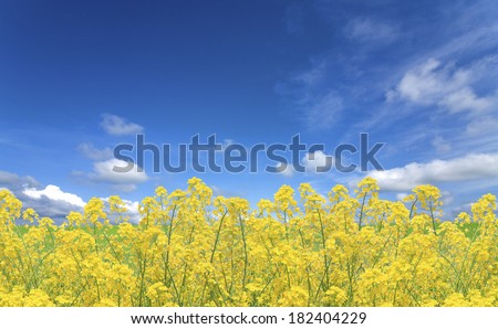 An image of Flower and sky
