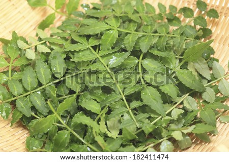 Freshly washed leaves of Japanese pepper (Zanthoxylum piperitum) in bamboo colander