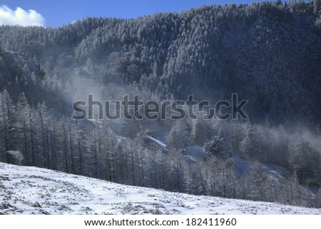 Yukikemuri (spray of snow) among pine trees, Japan