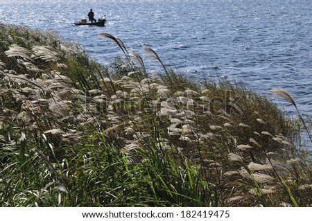 A fisherman in a boat beyond the silver grass