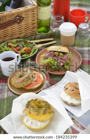 An image of Picnic lunch