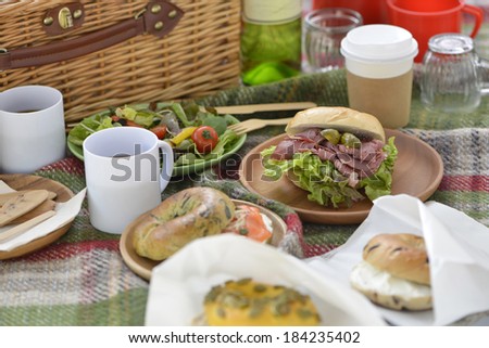 An image of a Picnic lunch