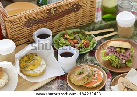 An image of Picnic lunch