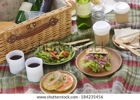 An image of a picnic lunch