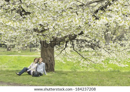 Couple snuggles up under a cherry tree.