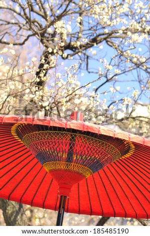 Red paper umbrella and blooming tree during the Plum Festival of Japan