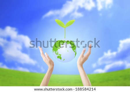 Plant sprout, hands and the earth