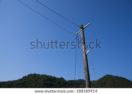 Wooden utility pole