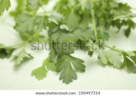 Italian parsley