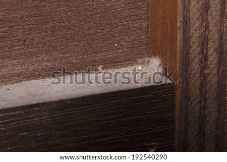 An image of Of dust on the back of the closet