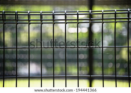 The blur of trees beyond the fence of wire made __of park