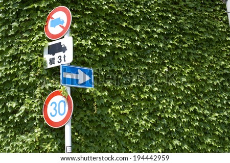 Traffic sign standing in the corner of a wall covered with ivy
