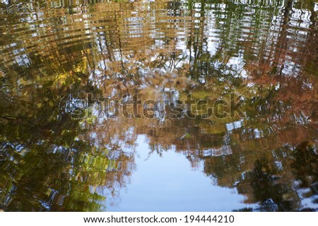 Autumn leaves reflected on the ripples in the pond
