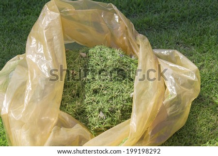 Putting Cut Grass Into The Garbage Bag