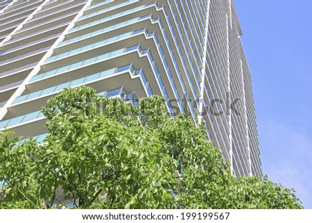 Trees,Blue Sky And The Outer Wall Of The Tall Apartment