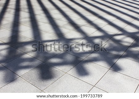 The Shadow Of The Gate With The Tile About To Fall
