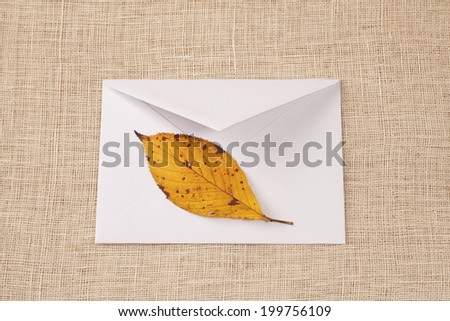 Dead Leaf In The White Envelope